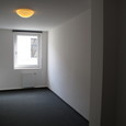 WG Gras 11 1 Bild