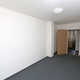 WG Gras 11 1 Bild