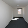 WG Gras 11 1 Bild