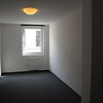 WG Gras 11 1 Bild