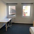 WG Gras 11 1 Bild