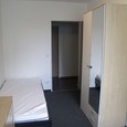 WG Gras 11 1 Bild