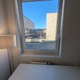 WG Gras 11 1 Bild