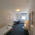 WG Gras 11 2 Bild