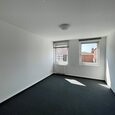 WG Gras 11 2 Bild