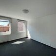 WG Gras 11 2 Bild