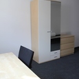 WG Gras 11 3 Bild