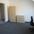 WG Gras 11 3 Bild