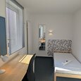 WG Gras 15 1 Bild