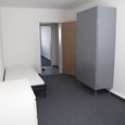 WG Gras 15 1 Bild
