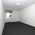 WG Gras 15 1 Bild