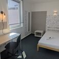 WG Gras 15 2 Bild