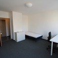WG Gras 15 2 Bild