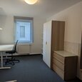 WG Gras 15 2 Bild