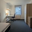 WG Gras 15 2 Bild