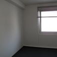 WG Gras 21 2 Bild