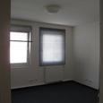 WG Gras 21 2 Bild