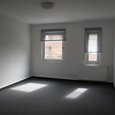WG Gras 21 2 Bild