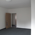 WG Gras 21 2 Bild