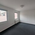 WG Gras 21 3 Bild