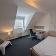 WG Gras 21 3 Bild