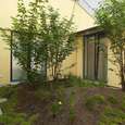WG Stern 8-10 1 Bild