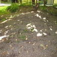 WG Stern 8-10 1 Bild