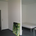 WG Stern 8-10 2 Bild